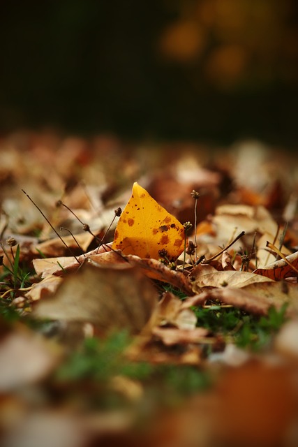 系变得薄弱 系变得薄弱