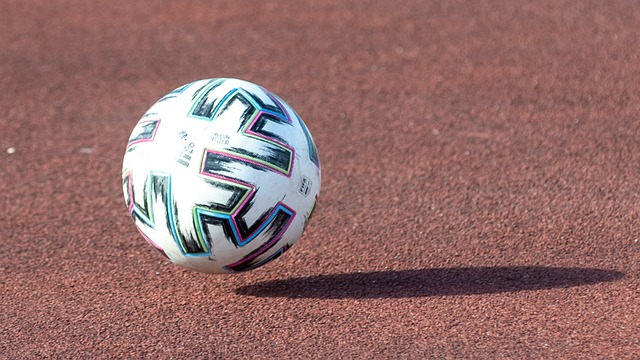 伊布的进球 伊布的进球