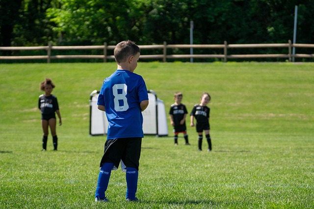 将汗水化作 将汗水化作