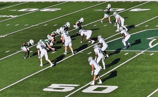 他们的整体 他们的整体