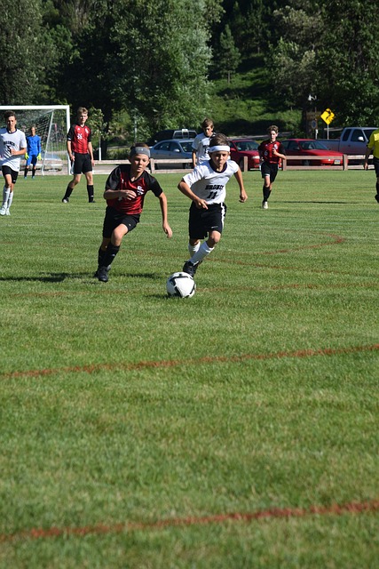 挥赢得了广 挥赢得了广