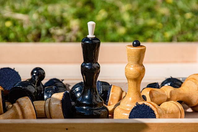 奥运会和世 奥运会和世