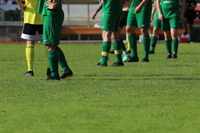 度地开发他 度地开发他