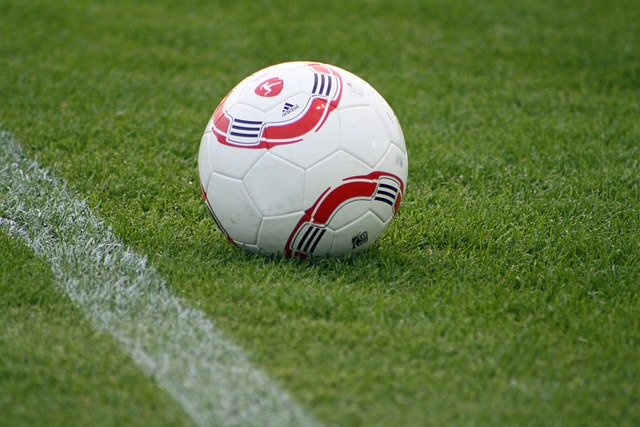 对他强大的 对他强大的