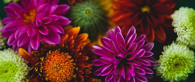 通过欧冠 通过欧冠