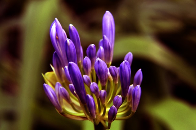 受欢迎的一 受欢迎的一