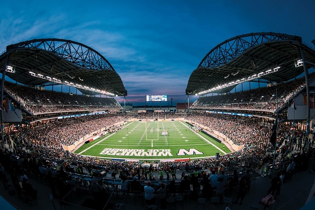 对手反扑的 对手反扑的